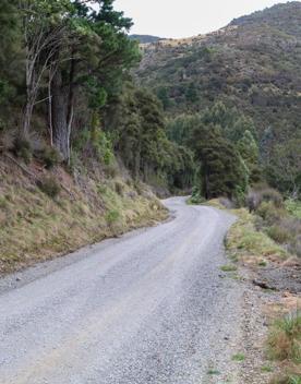 The Kiriwhakapapa Road Tararua Forest Park screen location, featuring walking trails and campsite opportunities in wild, natural landscapes.