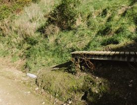 A section of the Rough Justice mountain bike track on Ngā Ara o Rangituhi, in Porirua.
