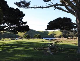 A rural setting with panoramic seascapes, Pikarere Farm is an iconic sheep and beef station overlooking Tītahi Bay in Porirua, New Zealand.