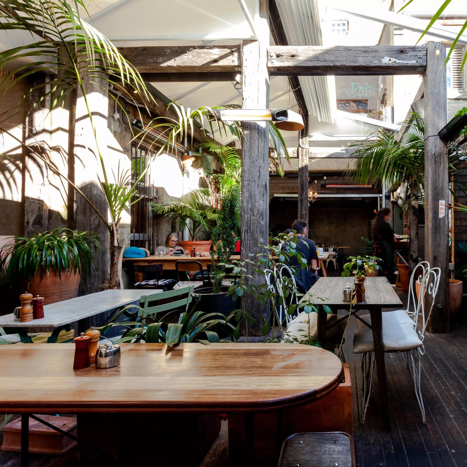 The serene patio at Olive, a restaurant in Te Aro Wellington, with lots of green-leafy potted plants and eclectic tables and chairs. 