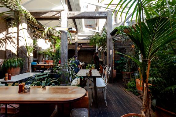 The serene patio at Olive, a restaurant in Te Aro Wellington, with lots of green-leafy potted plants and eclectic tables and chairs. 