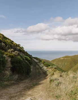 The view to the south from Tip Track, looking into the Cook Straight.