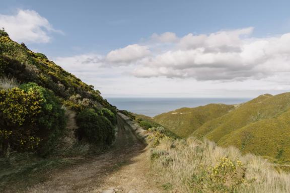 The view to the south from Tip Track, looking into the Cook Straight.