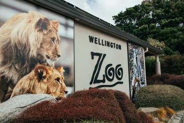 A beige exterior wall with a photograph of two lions on the left, the Wellington Zoo logo in the middle and a photograph of a lemur on the right.