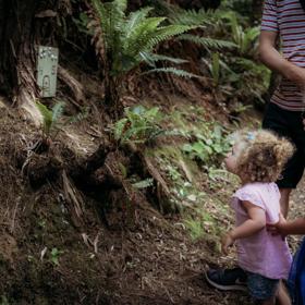 2 young children loooking at the fairy forest homes along the Horoeka scenic reserve path.