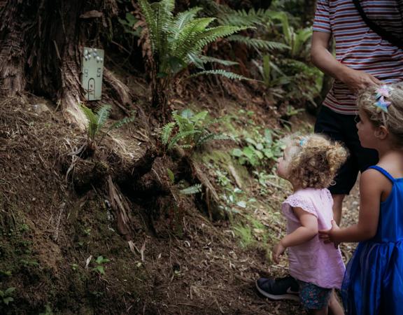 2 young children loooking at the fairy forest homes along the Horoeka scenic reserve path.