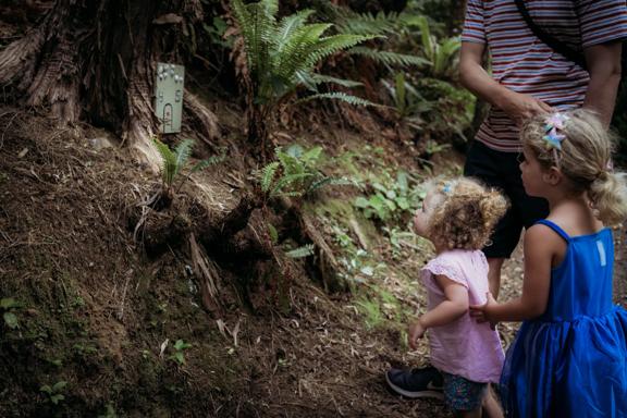 2 young children loooking at the fairy forest homes along the Horoeka scenic reserve path.