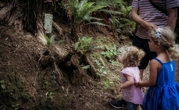 2 young children loooking at the fairy forest homes along the Horoeka scenic reserve path.