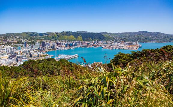The view of Wellington Harbour from the look out point on Mount Victoria.