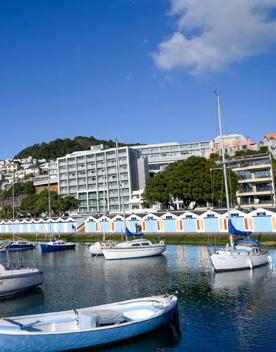 Chaffers Marina is lined with the iconic Wellington boatsheds. Boats are moored in the marina and the house-covered hill is in the distance.