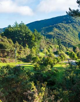 Camp Wainuiomata screen location. Has several buildings and is surrounded by forest and bush.