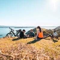 Mountain bikers on hill overlooking Wellington Harbour on Pencarrow Coast Road Trail.