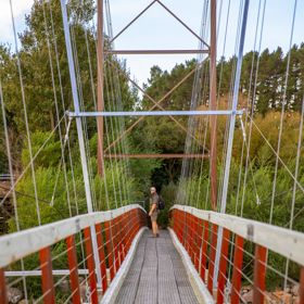 A person standing on a red swing bridge on the Tauwharenikau Trail in the Wairarapa region.