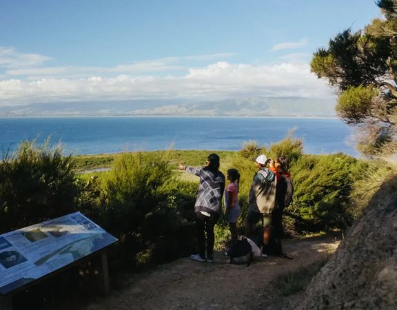A family on the Okupe Valley Loop Track on Kapiti Island. They are standing at a viewpoint where they can see the Kāpiti Coast.