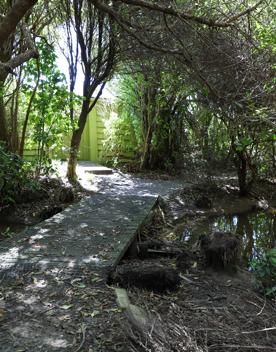 A site of significant conservation value, the estuary is easily accessible in Porirua. A 30-minute drive from the capital, the Pāuatahanui Inlet is a large estuary surrounded by a wildlife reserve.