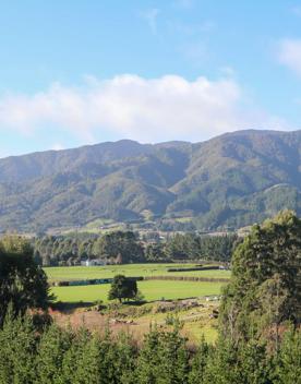 Mangaroa Valley Road screen location, a scenic rural setting with native forest, farmland, and a mountainous backdrop.