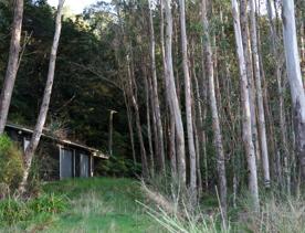 Mangaroa Valley Road screen location, a scenic rural setting with native forest, farmland, and a mountainous backdrop.