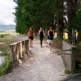 Three people and a dog on leash, walking on a gravel path, across a small bridge on the Greytown to Woodside Trail.