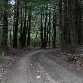 The Kiriwhakapapa Road Tararua Forest Park screen location, featuring walking trails and campsite opportunities in wild, natural landscapes.