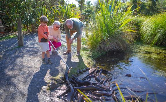 Two adults are with a child who is using a stick to feel eels in a point at the Ngā Manu Nature Reserve in the Kāpiti Coast.