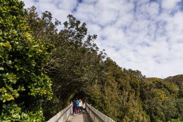 People on a bridge at Ōtari-Wilton's Bush.