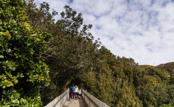 People on a bridge at Ōtari-Wilton's Bush.