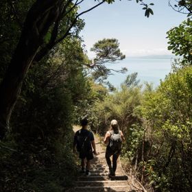 Two people walk amongst native trees down the Wilkinson Track on Kapiti Island. The view shows Kāpiti Coast.