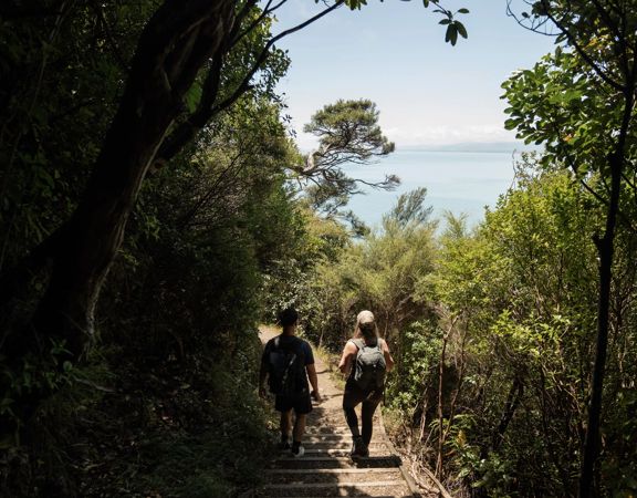 Two people walk amongst native trees down the Wilkinson Track on Kapiti Island. The view shows Kāpiti Coast.