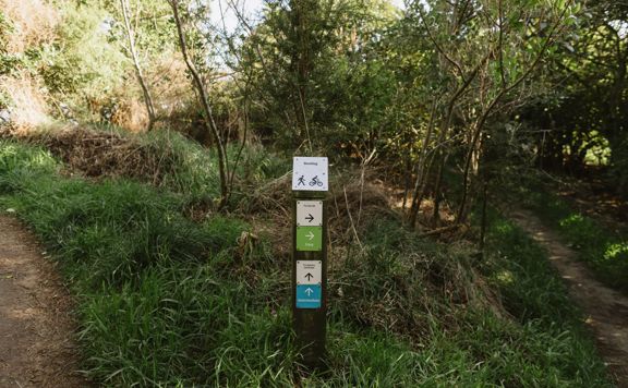 Wooden trail post for Bootleg with arrows showing the directions for easy and intermediate routes.