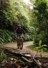 A mountain biker riding on Waiu Park trail in Wainuiomata located in Lower Hutt.