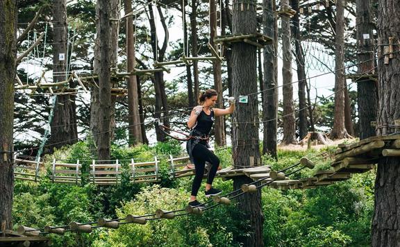 Person holding onto a wire and walking across an elevated ladder amongst the trees at Adrenalin Forest in Porirua.