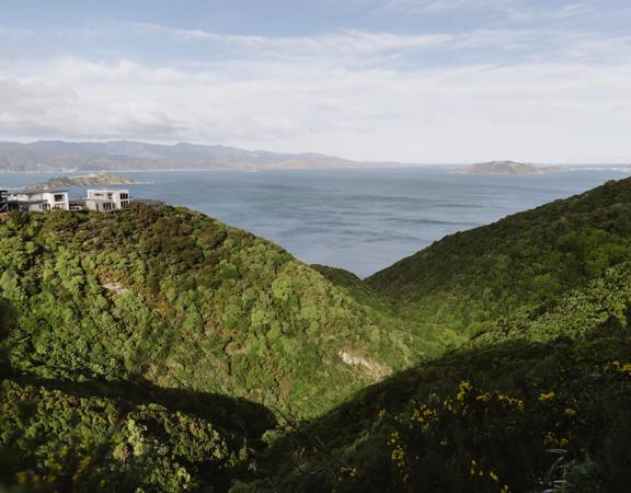 The view from Te Ara Paparāngi ki te Tonga over the Newlands hills out to the Wellington Harbour and Eastbourne.