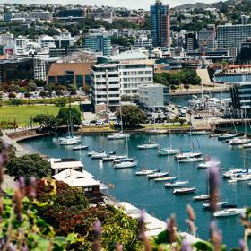 Looking over Wellington from Mount Victoria. Chaffers Marina sits in the foreground, while city scape sits behind.