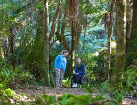 Two people, one is a wheelchair-user, are chatting on a trail in the forest. 