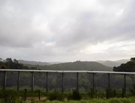 The Brooklyn Wind Turbine sits on a hill above Wellington, with views of the city. Bush and trees surround the area.