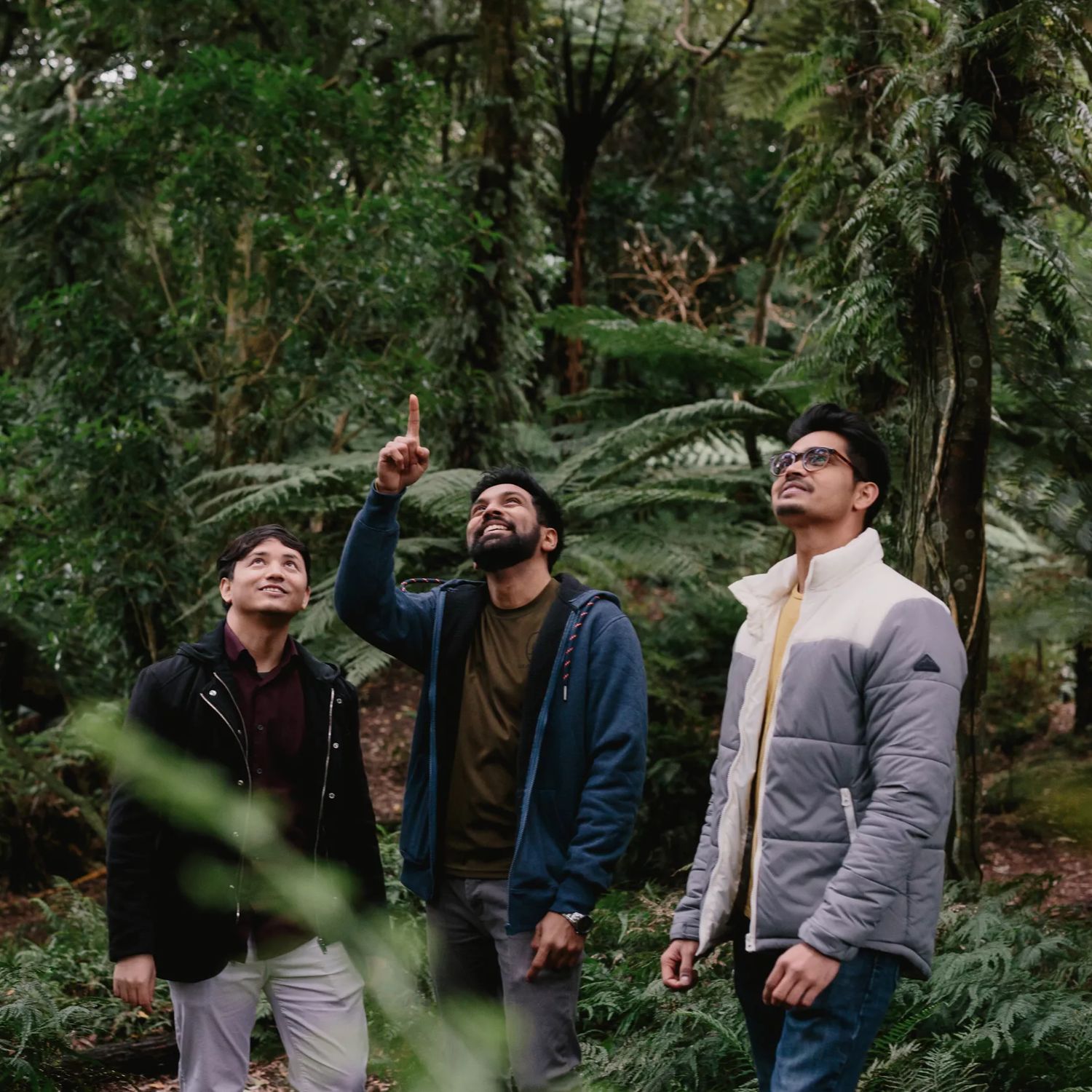 Three people stand in the native forest at Ōtari-Wilton's Bush, looking up into the trees while one points overhead.