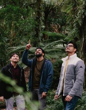 3 people gaze into the trees while one points up, on the Ōtari-Wilton's Bush walk.