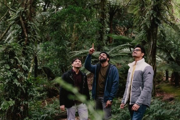 Three people stand in the native forest at Ōtari-Wilton's Bush, looking up into the trees while one points overhead.