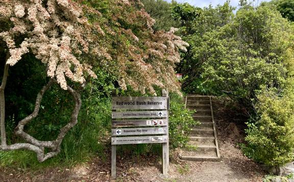 The trailhead sign at Redwood Bush Reserve with a small stairway on the right and a blossoming tree on the left.