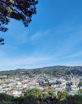 The screen location of Mount Victoria Town Belt, with lush green native bush and panoramic views across Wellington.