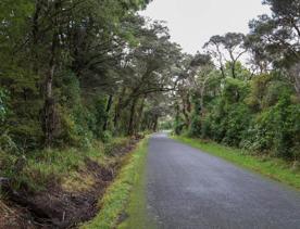 The rural Western Lake road, which connects the Remutaka Range to Lake Wairarapa, features lush green fields and mountains.