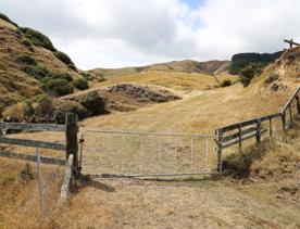 A secluded, sheltered beach located on private farmland. Pikarere Beach is a hidden inlet off Open Bay, just 5 kilometres from Porirua’s city centre.