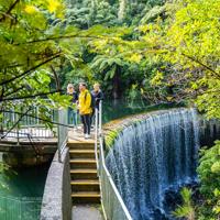 Three people standing on top of Birchville Dam. Green trees and bushes surround them.