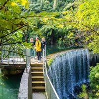 Three people standing on top of Birchville Dam. Green trees and bushes surround them.