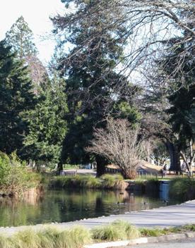 The screen locations for Masterton, Wairarapa. Named best small town in 2017, it features gardens, historic buildings, modern buildings, suburban areas, bridges, and streams.