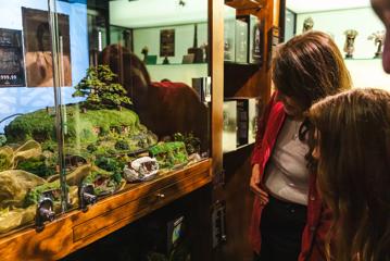 Two people look at a miniature display of Hobbiton from Lord of the Rings.