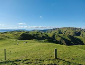 A short drive from the city is a stunning venue. Perched on a rugged coastline, it has sweeping views over the Cook Strait and the South Island.