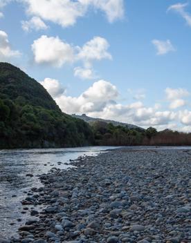 The Taitā Rock swimming hole in Lower Hutt, with lush green bush surrounding a blue river and large pebbles on the shore.