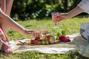 Two people having a picnic in a grassy field on a sunny day. They're sharing a charcuterie board with cheese, strawberries, grapes, and bread and enjoying sparkling rosé.