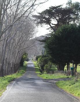 Mangaroa Valley Road screen location, a scenic rural setting with native forest, farmland, and a mountainous backdrop.